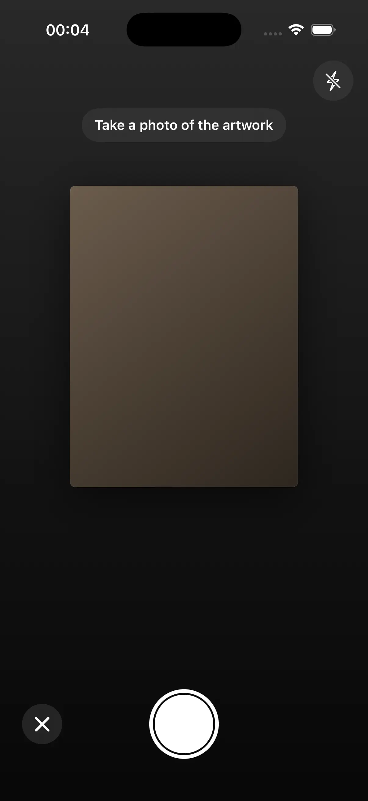 Camera capture view with the prompt 'Take a photo of the artwork'.